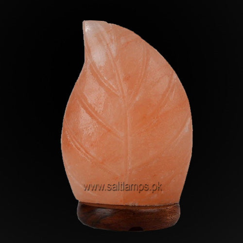 Leaf Shape Salt Lamp