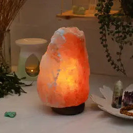 Leaf Shape Salt Lamp