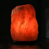 Globe Shape Salt Lamp